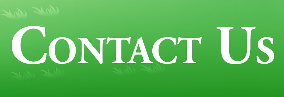 contact-01