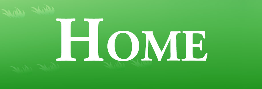 home-01