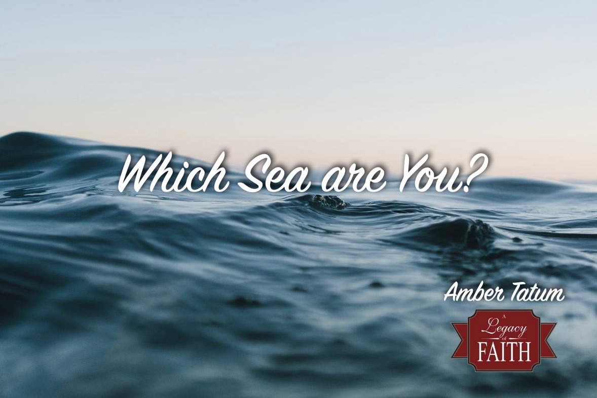 Which Sea are You?